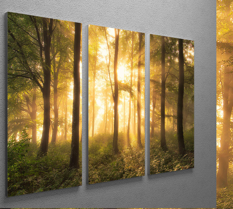 It's Nice To Love 3 Split Panel Canvas Print featuring three cohesive panels with elegant designs, perfect for home decor.