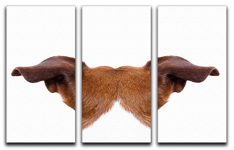 A beautiful 3-panel canvas print featuring a Jack Russell dog looking and staring, perfect for home decor.