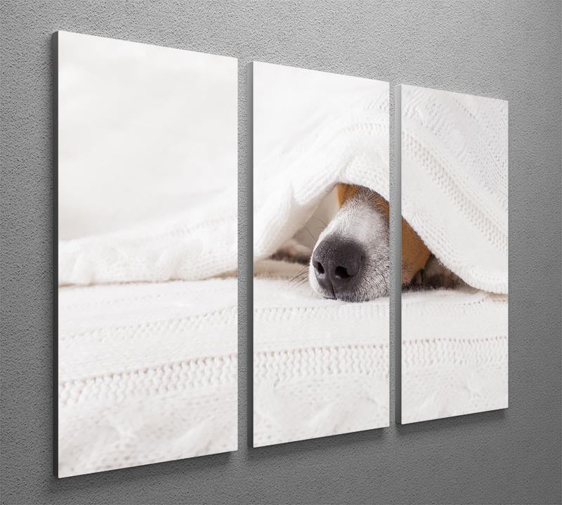 A charming Jack Russell dog sleeping peacefully under a cozy blanket, depicted in a 3-panel canvas print.