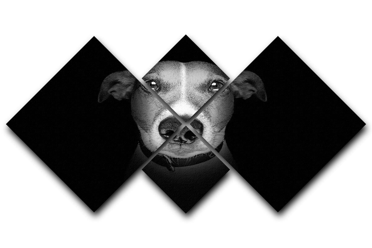 A 4-square canvas artwork featuring a Jack Russell Terrier dog on a black background, showcasing the dog's playful expression and vibrant colors.