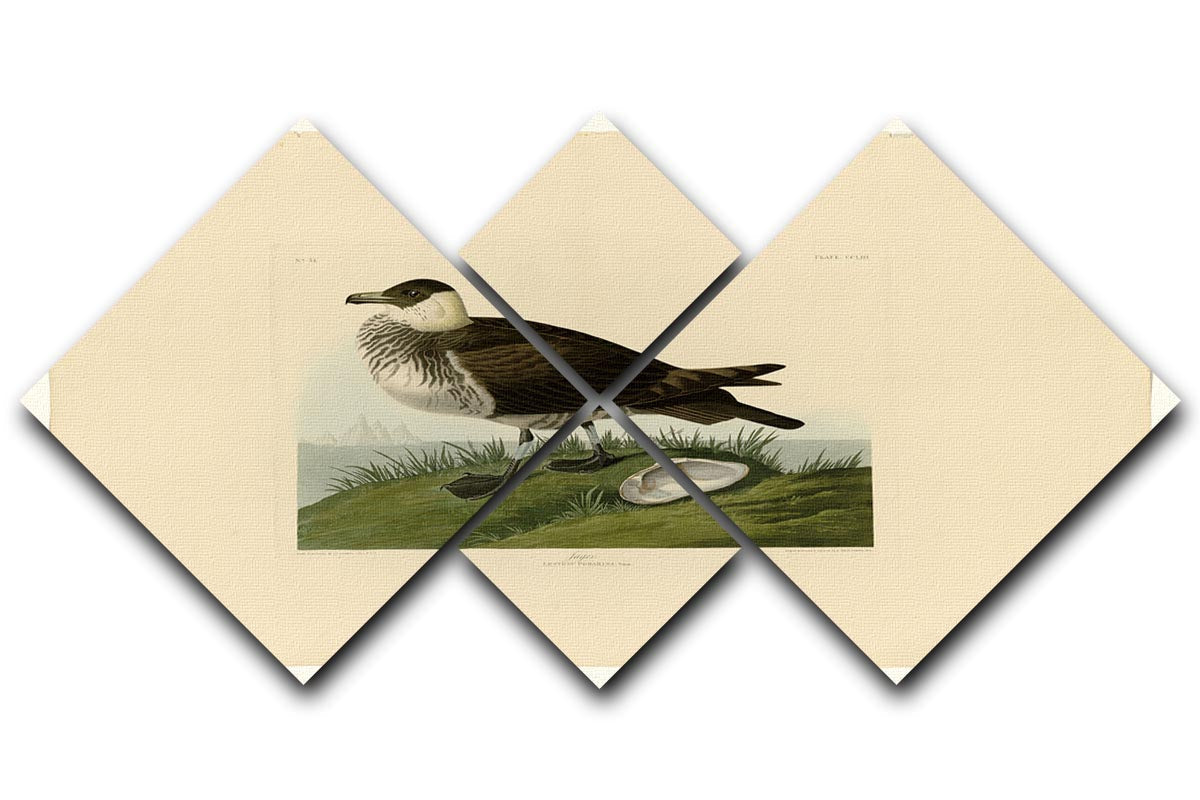 Jager by Audubon 4 Square Multi Panel Canvas artwork featuring four equal square sections, showcasing vibrant colors and intricate details.