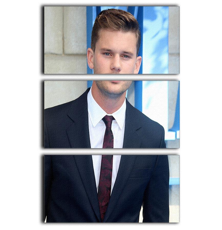 Jeremy Irvine Mamma Mia 3 Split Panel Canvas Print showcasing vibrant colors and elegant design, perfect for home decor.