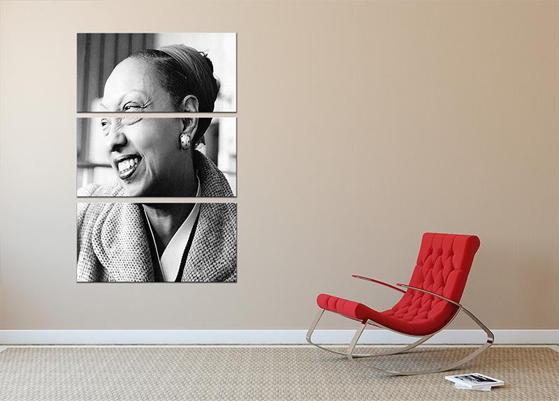 A stunning 3-panel canvas print featuring Josephine Baker in 1958, showcasing vibrant colors and intricate details.