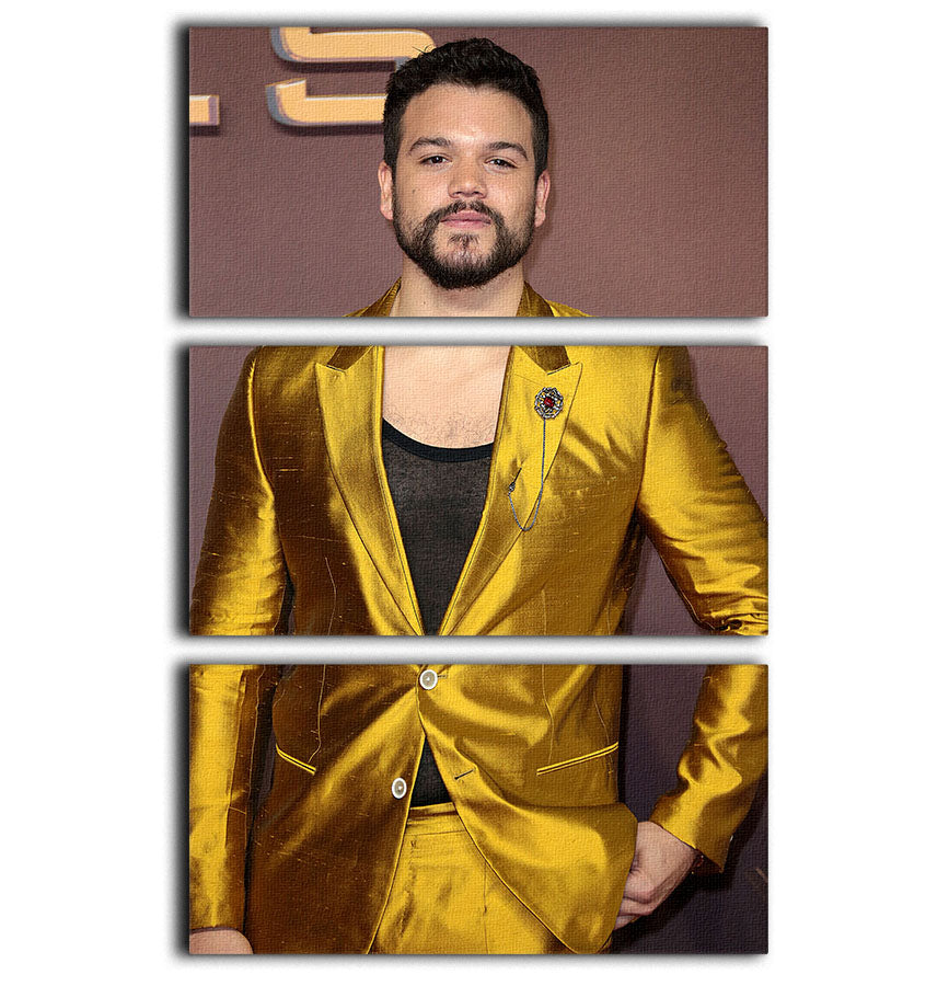 Josh Andres Rivera 3 Split Panel Canvas Print featuring a captivating design that enhances any room's decor.