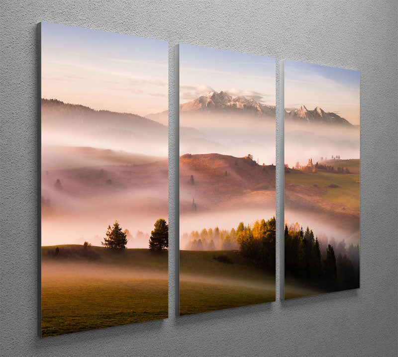 Just A Silence 3 Split Panel Canvas Print featuring three cohesive and captivating designs, perfect for enhancing any living space.