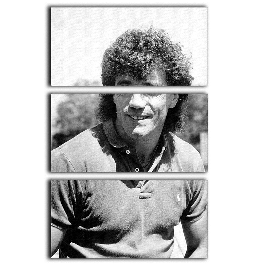 Kevin Keegan 3 Split Panel Canvas Print featuring vibrant colors and a cohesive design, perfect for home or office decor.