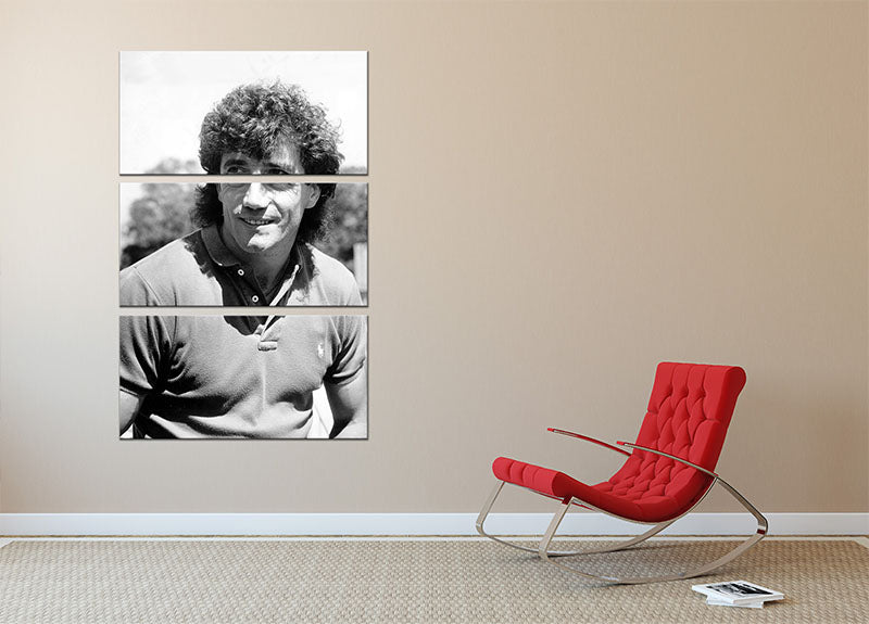 Kevin Keegan 3 Split Panel Canvas Print featuring vibrant colors and a cohesive design, perfect for home or office decor.