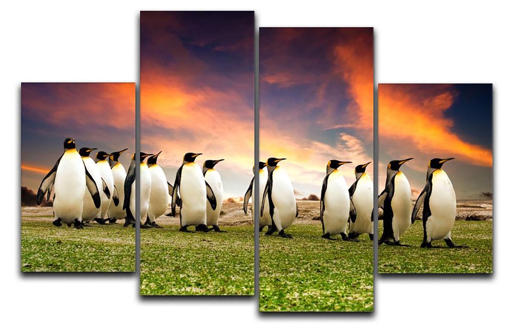 A stunning 4-panel canvas artwork featuring king penguins in the Falkland Islands, showcasing their natural beauty and habitat.