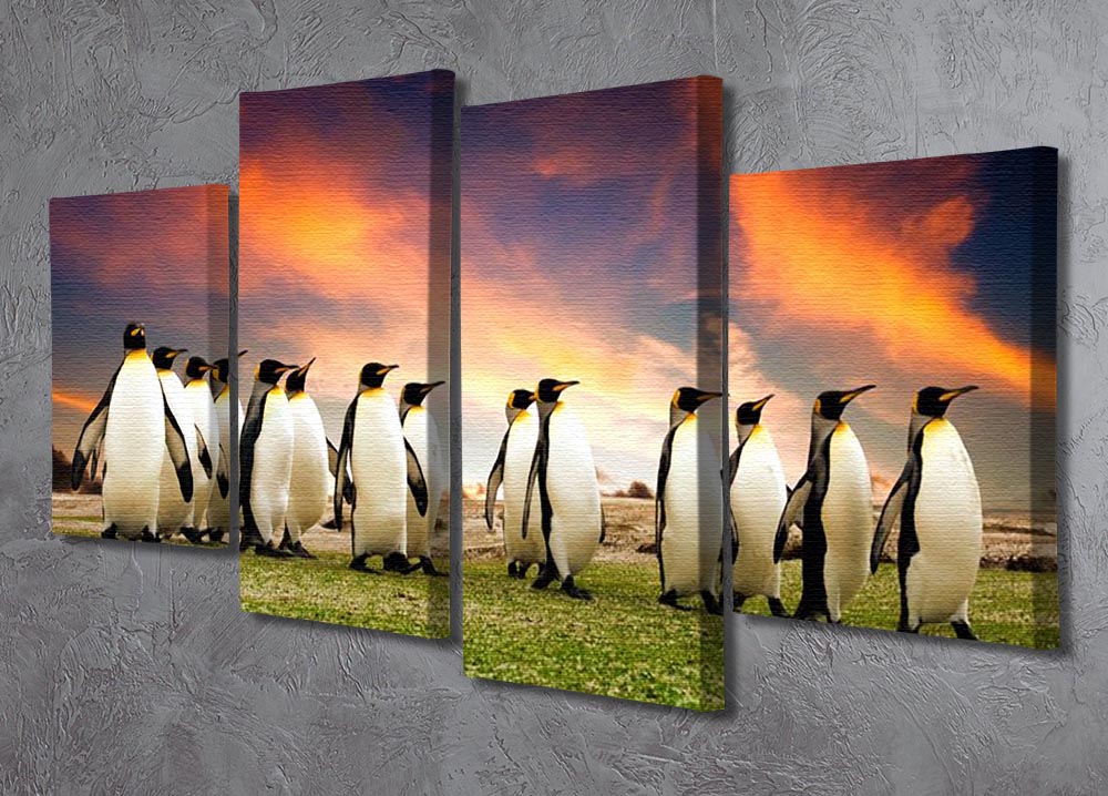 A stunning 4-panel canvas artwork featuring king penguins in the Falkland Islands, showcasing their natural beauty and habitat.