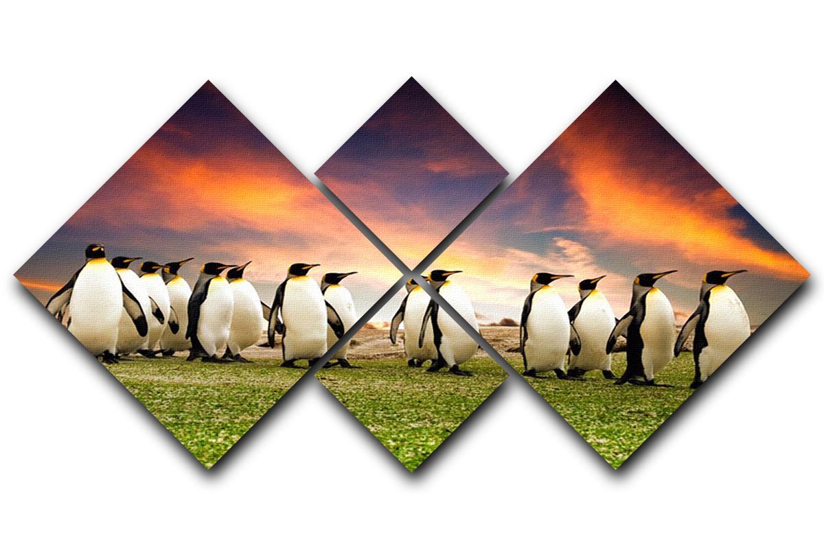 A stunning 4-panel canvas artwork featuring King Penguins in the Falkland Islands, showcasing their majestic beauty in a vibrant setting.