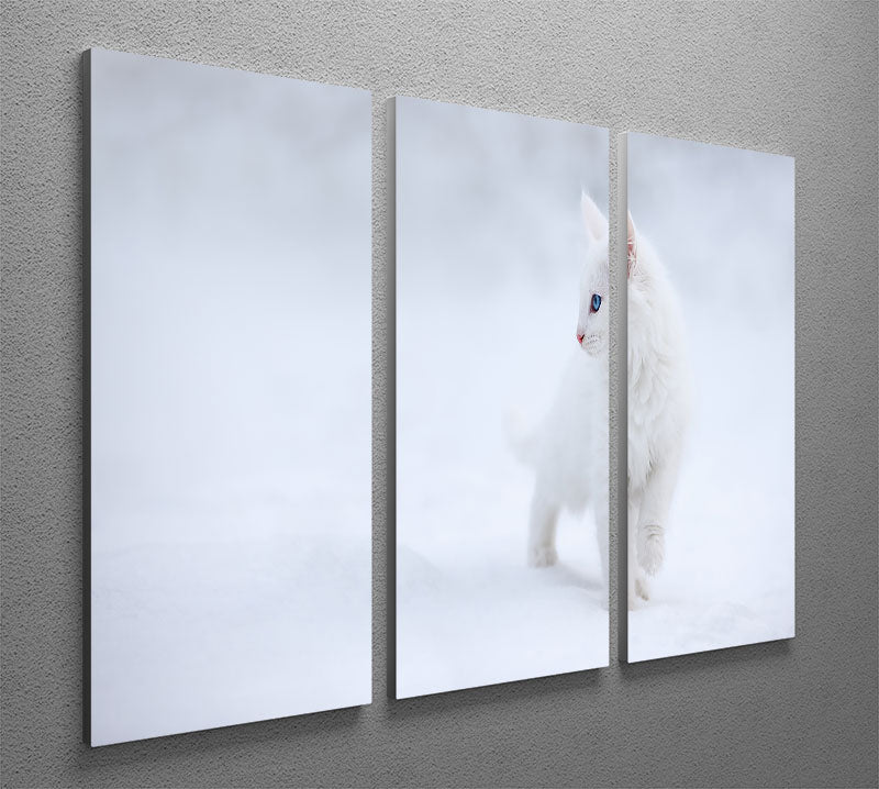 A beautiful 3-panel canvas print featuring a white kitten, perfect for home decor.