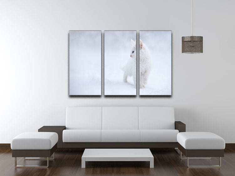 A beautiful 3-panel canvas print featuring a white kitten, perfect for home decor.