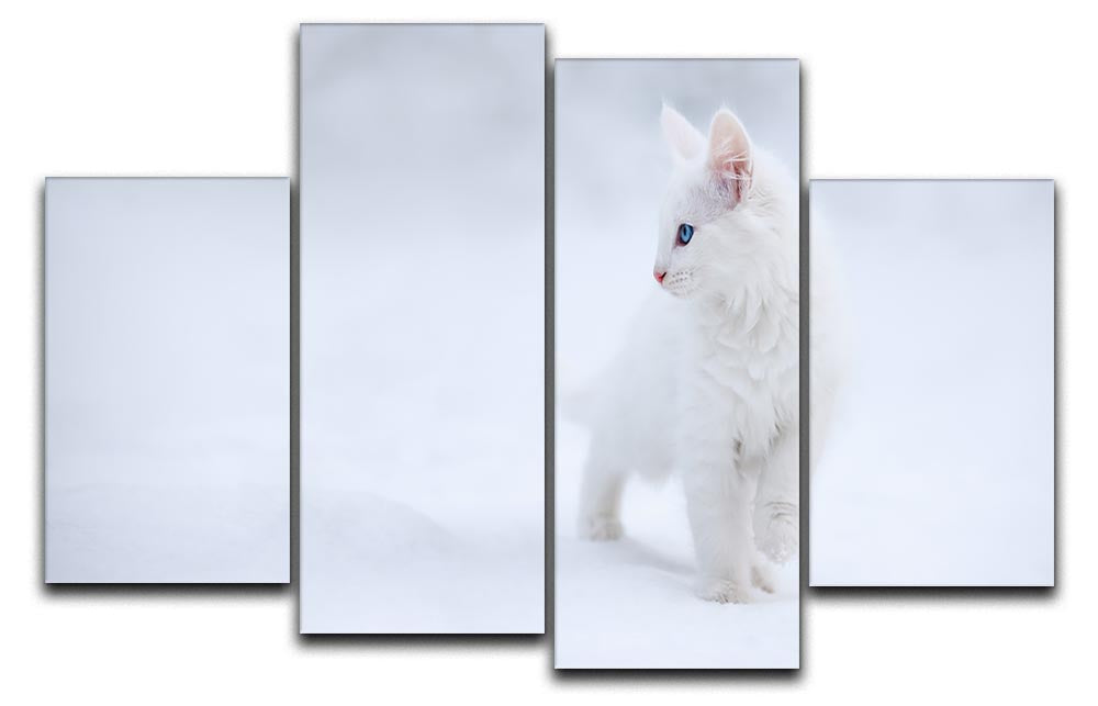 A charming 4-split canvas artwork featuring a white kitten, creating a cohesive and dynamic visual effect.
