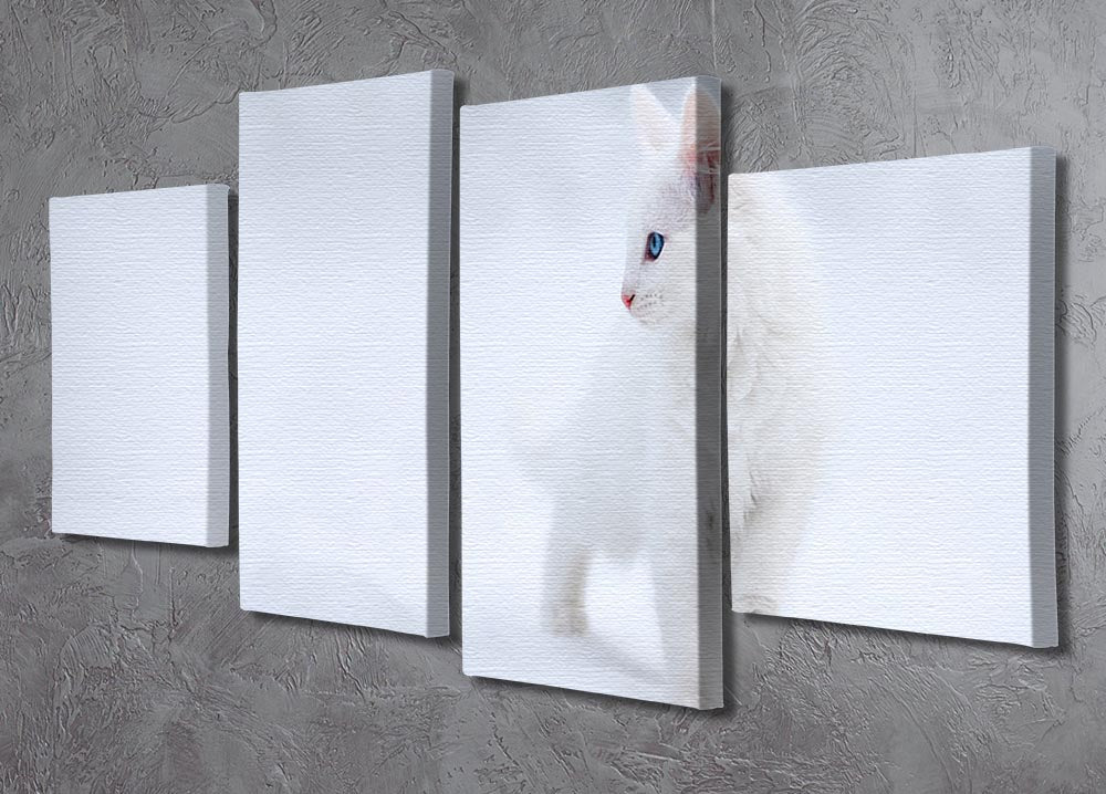 A charming 4-split canvas artwork featuring a white kitten, creating a cohesive and dynamic visual effect.