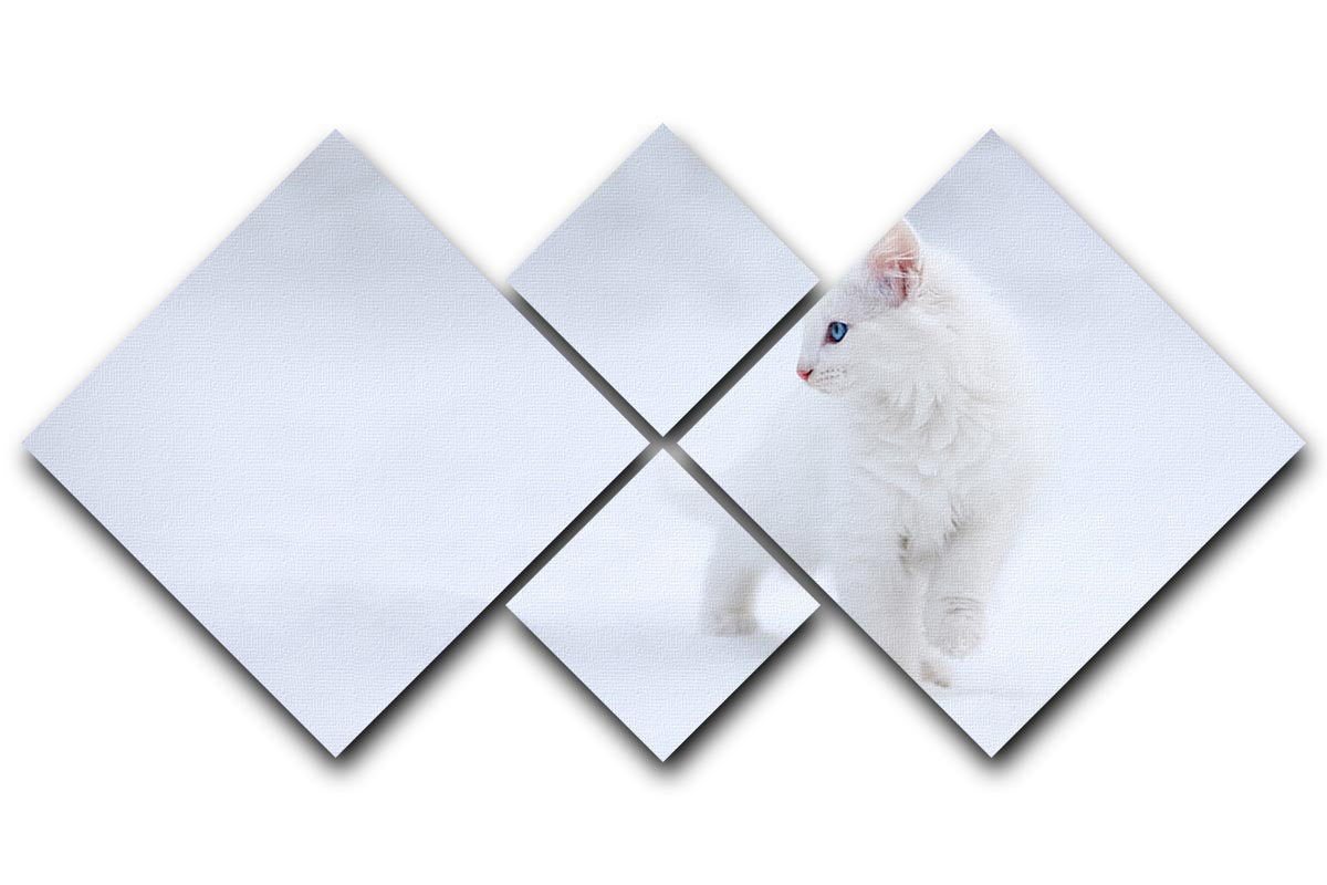 A charming 4-square canvas featuring a white kitten, beautifully arranged for striking wall decor.