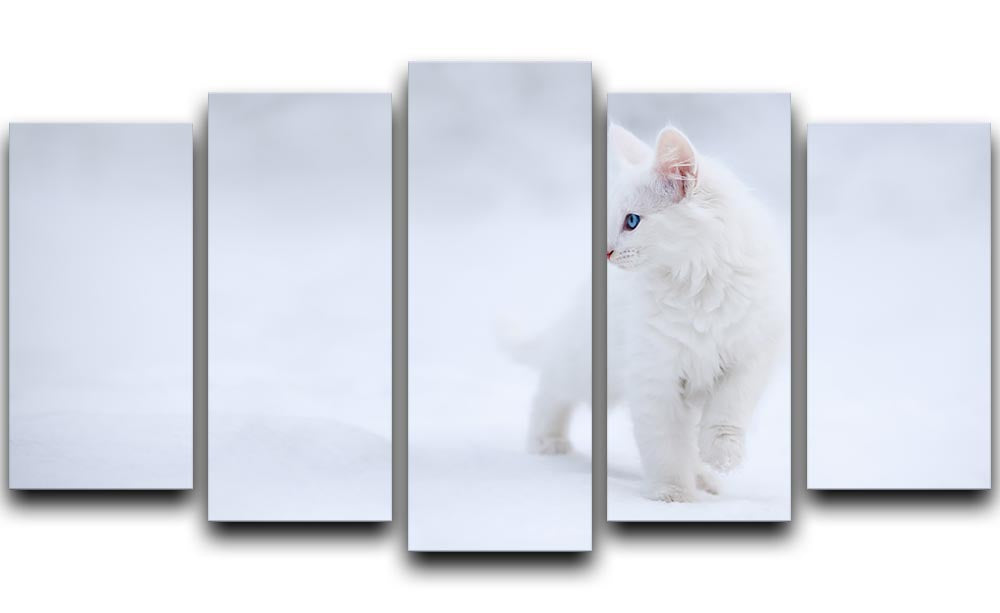 A charming 5-split canvas artwork featuring a white kitten, beautifully arranged in five panels for a dynamic display.