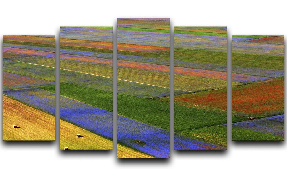 La Coperta 5 Split Panel Canvas artwork featuring five panels with a cohesive design, adding depth and elegance to any room.