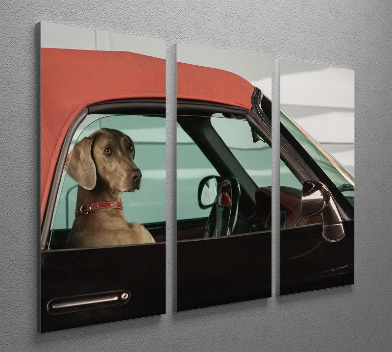 A beautiful lady 3 split panel canvas print showcasing elegant artwork, perfect for home decor.