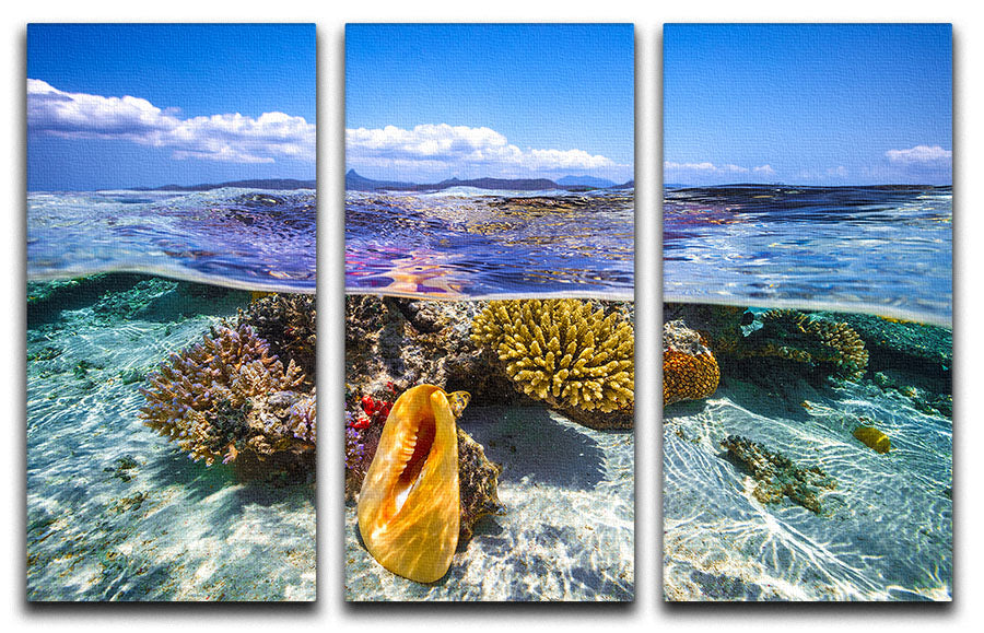 Lagoon Life 3 Split Panel Canvas Print showcasing vibrant colors and elegant design, perfect for home decor.