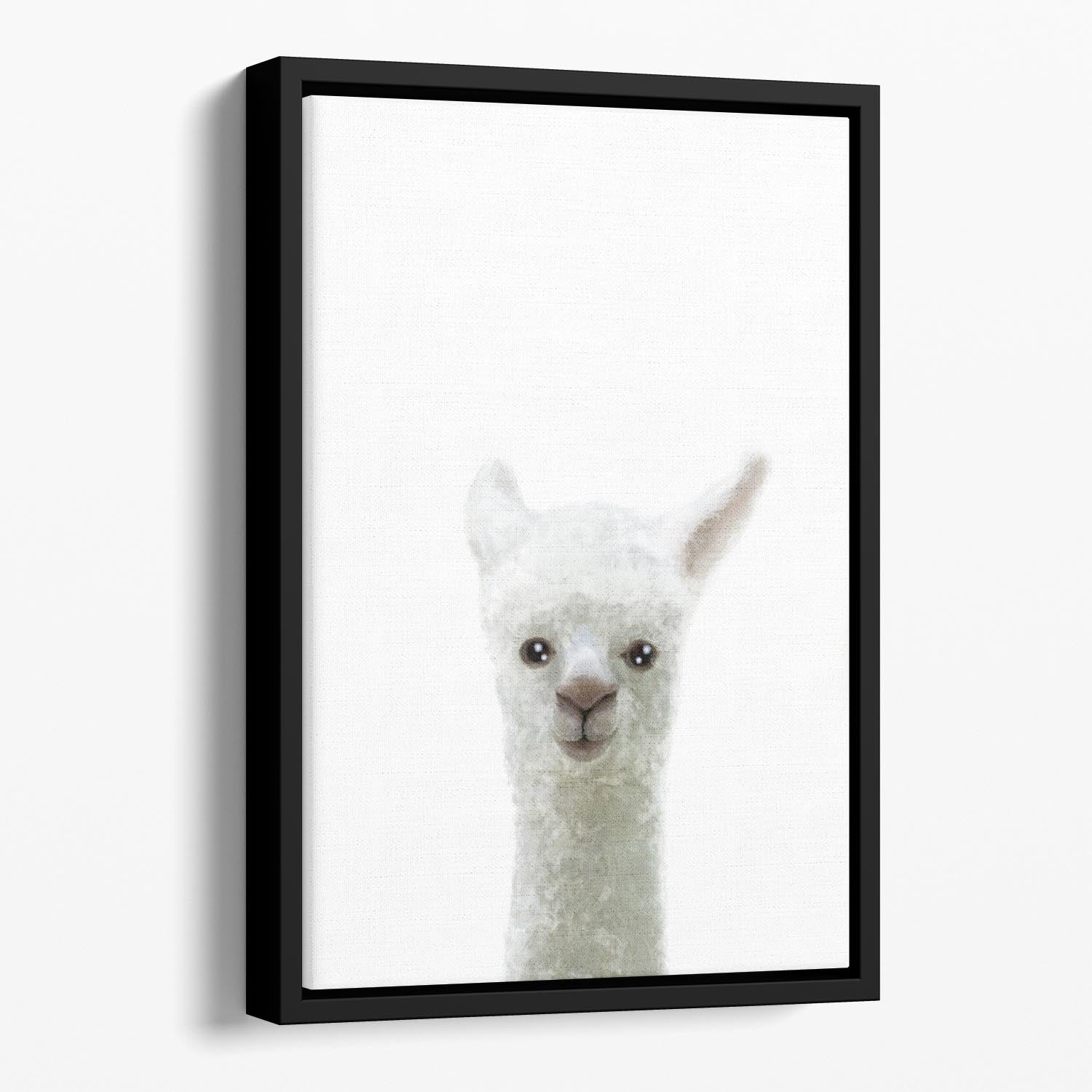 Vibrant llama abstract wall art in a floating frame, showcasing colorful design and elegant craftsmanship.