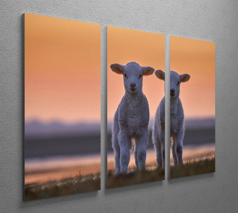 Lamb Twins 3 Split Panel Canvas Print featuring three high-quality canvases with a captivating design, perfect for home decor.