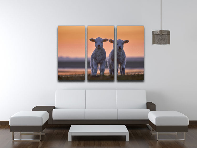 Lamb Twins 3 Split Panel Canvas Print featuring three high-quality canvases with a captivating design, perfect for home decor.