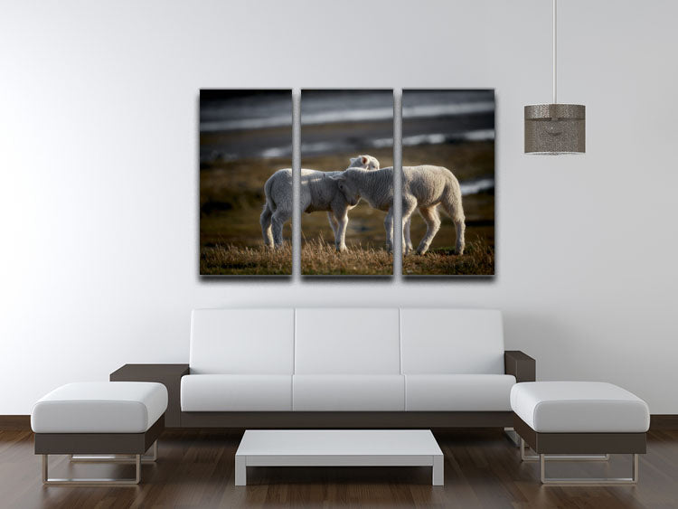 Lambs 3 Split Panel Canvas Print showcasing three high-quality canvases with a captivating design.