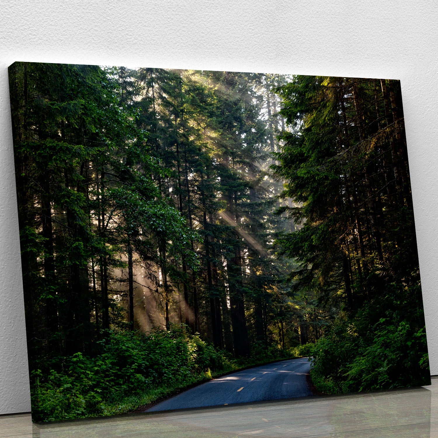 A beautiful landscape forest canvas print showcasing lush green trees and serene nature, perfect for home decor.