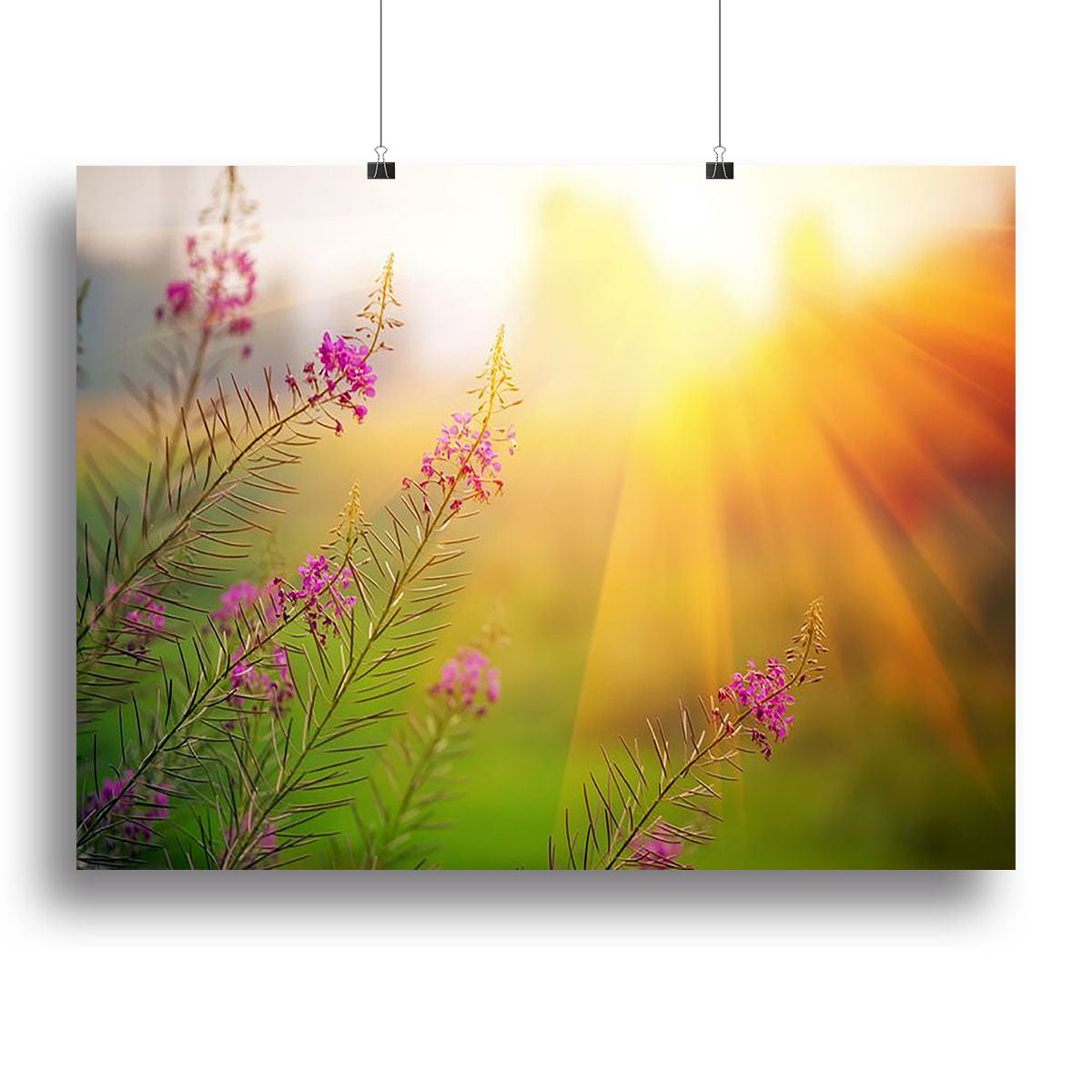 A vibrant canvas print of a landscape featuring blooming fireweed flowers under a sunny sky, perfect for home decor.