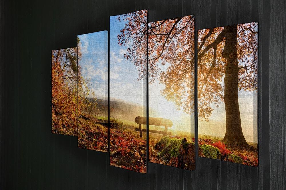 A beautiful 5-split panel canvas artwork depicting a sunlit landscape, showcasing vibrant colors and serene imagery.