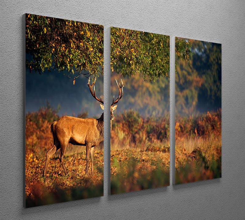 Large red deer stag in autumn, displayed on a 3-panel canvas print, showcasing vibrant colors and natural beauty.