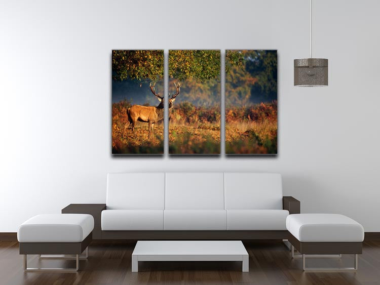Large red deer stag in autumn, displayed on a 3-panel canvas print, showcasing vibrant colors and natural beauty.