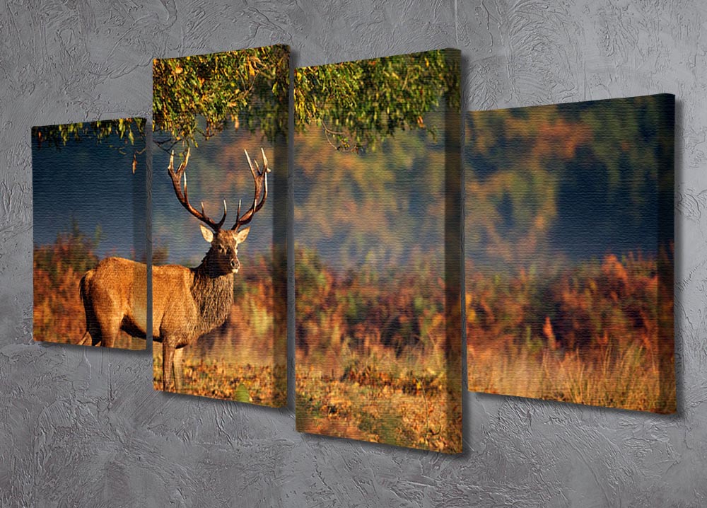 Large red deer stag artwork displayed on a 4 split panel canvas, showcasing autumn colors and nature's beauty.