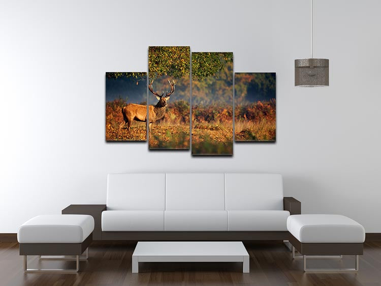 Large red deer stag artwork displayed on a 4 split panel canvas, showcasing autumn colors and nature's beauty.