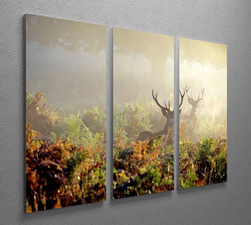 Large red deer stag in mist, displayed on a 3-panel canvas print, showcasing nature's beauty.