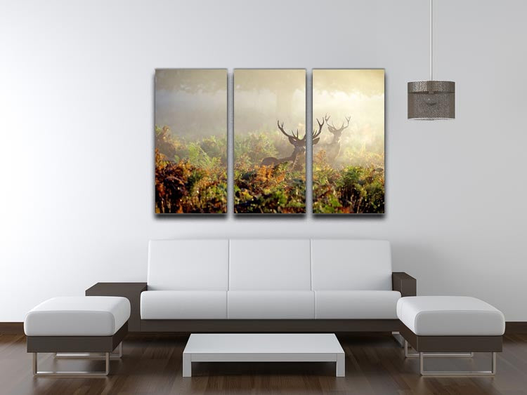 Large red deer stag in mist, displayed on a 3-panel canvas print, showcasing nature's beauty.