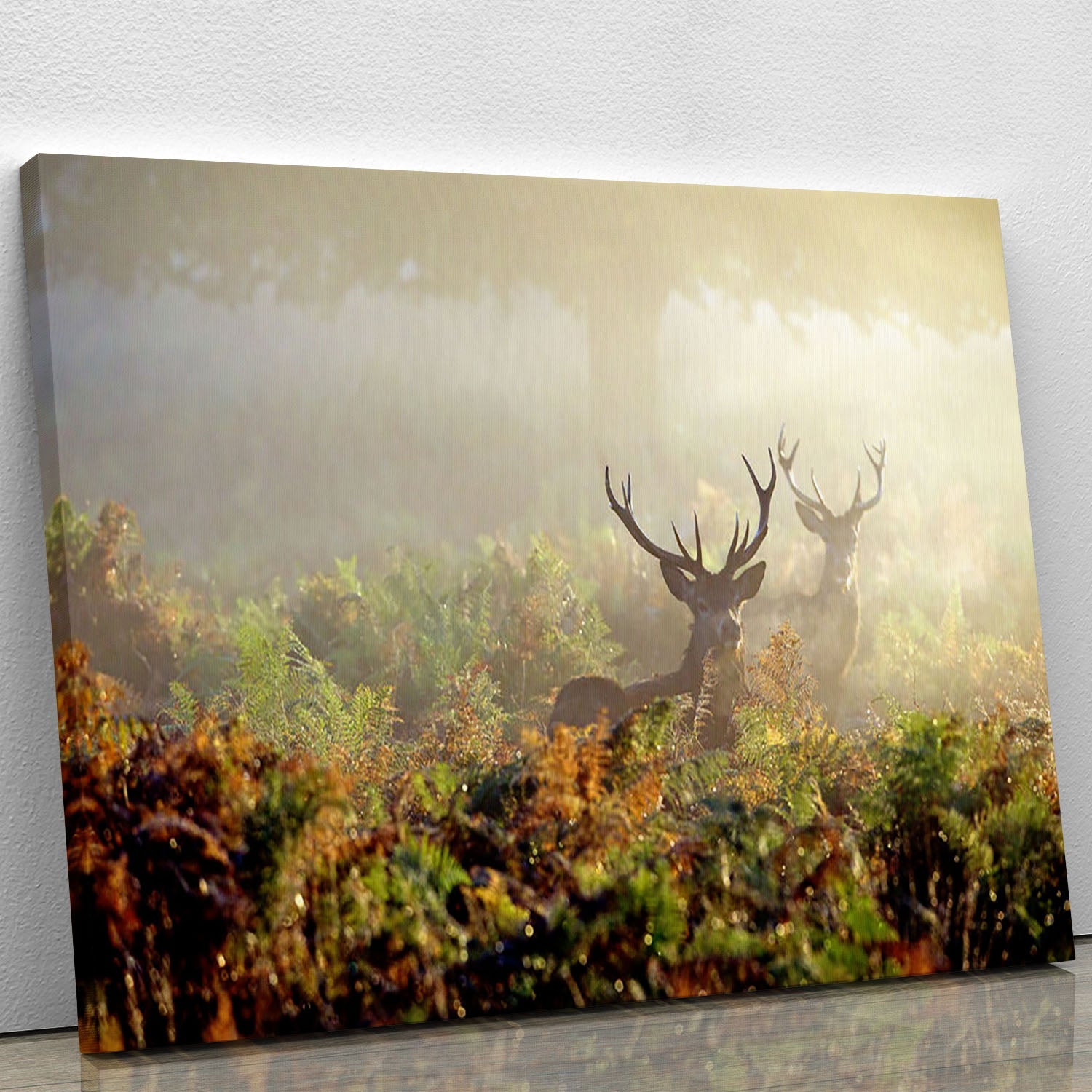 A large red deer stag standing majestically in a misty landscape, showcasing its impressive antlers and natural beauty.