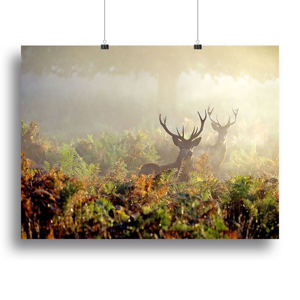A large red deer stag standing majestically in a misty landscape, showcasing its impressive antlers and natural beauty.