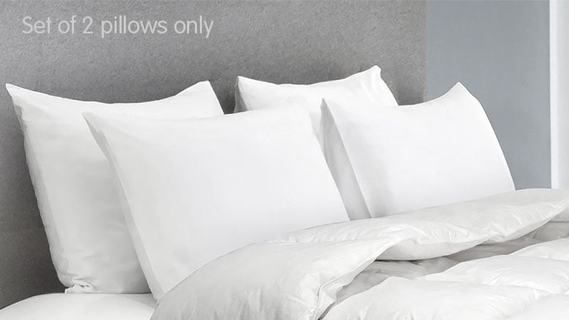 Laura Hill Duck Down Feather Pillow Twin Set featuring two luxurious white pillows made of 95% duck feather and 5% duck down, ideal for comfort and support.