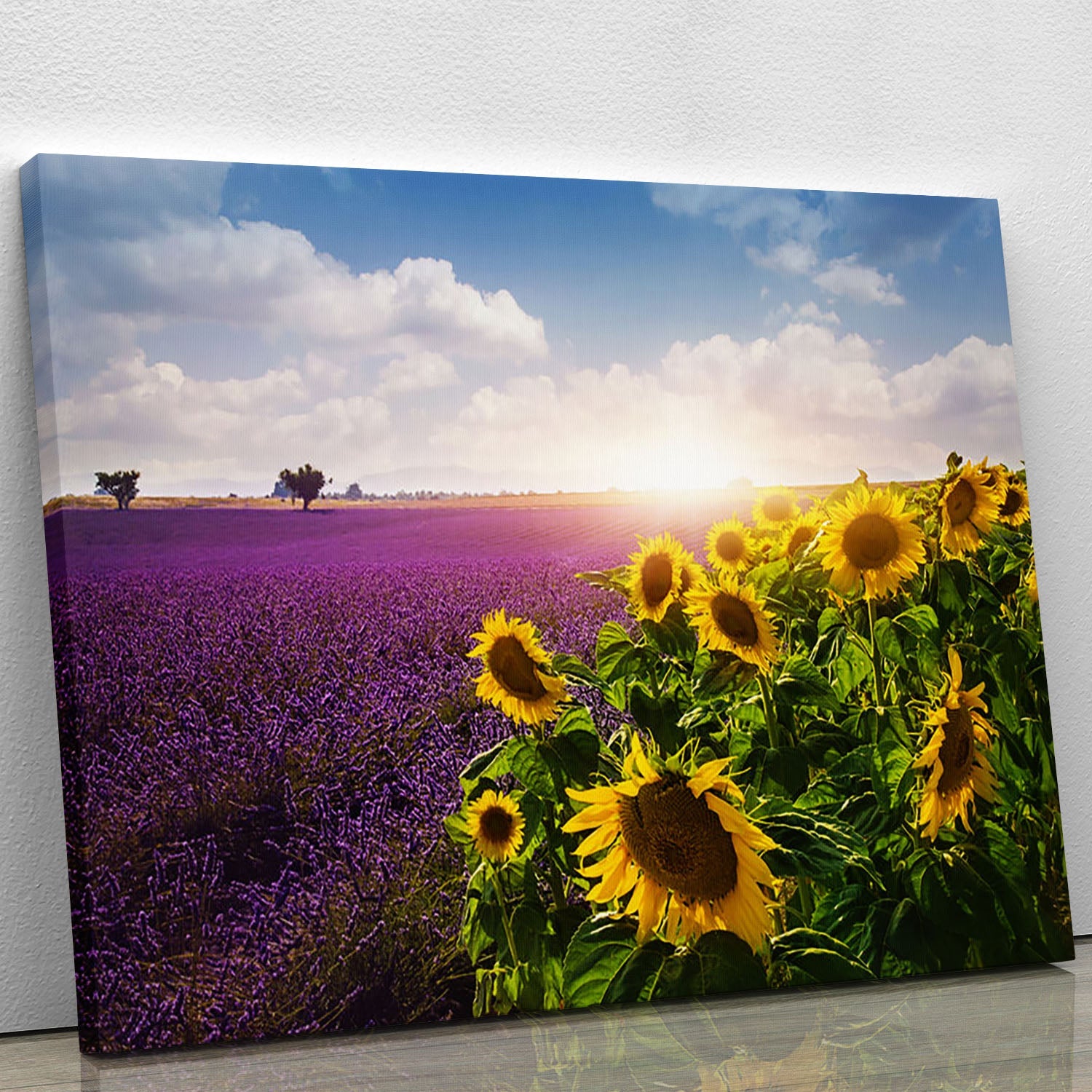 A beautiful canvas print featuring vibrant lavender fields and sunflowers under a clear blue sky, perfect for home decor.
