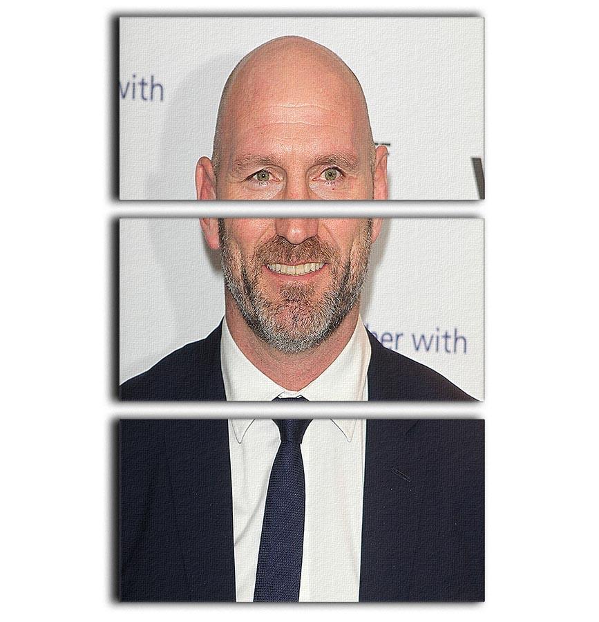 Lawrence Dallaglio 3 Split Panel Canvas Print showcasing three high-quality canvases with a cohesive design, perfect for modern decor.