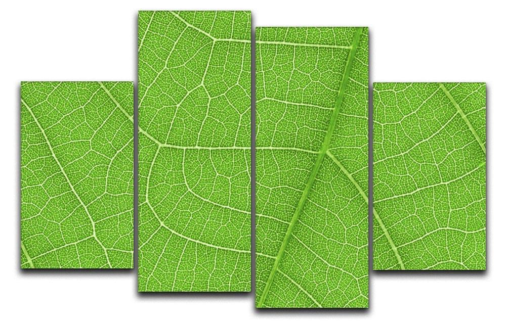 Leaf Texture 4 Split Panel Canvas showcasing a beautiful leaf design divided into four equal sections, creating a dynamic art piece.