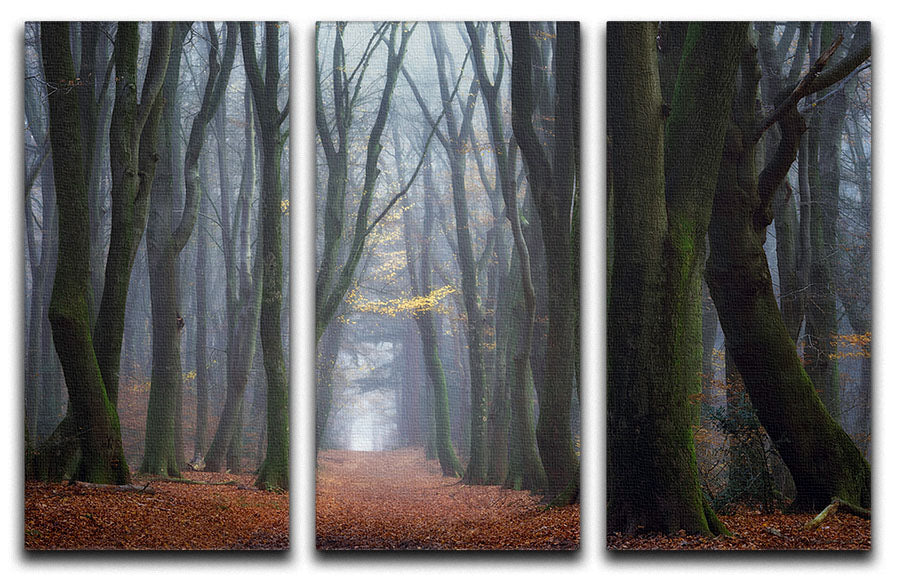 Lean On Me 3 Split Panel Canvas Print featuring three cohesive art panels with vibrant colors and intricate designs.