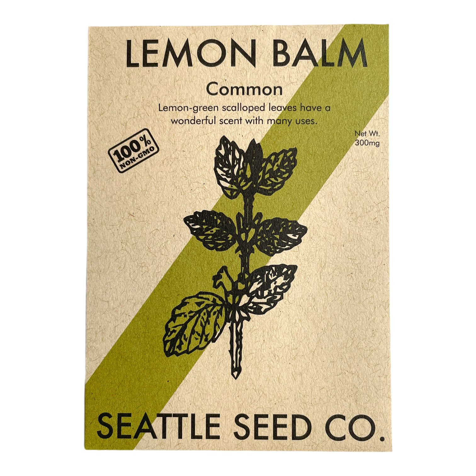 Lemon Balm plant with shiny green leaves and aromatic lemon scent, growing in a garden setting.