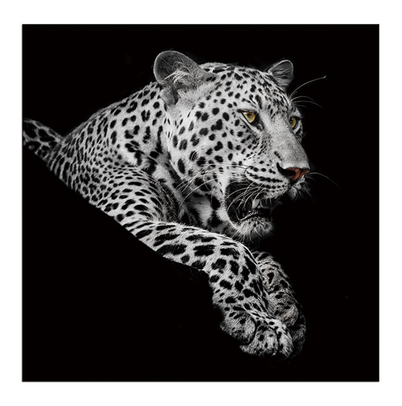 Leopard in Black and White Acrylic Print showcasing a striking leopard design on a sleek acrylic panel, perfect for modern wall decor.