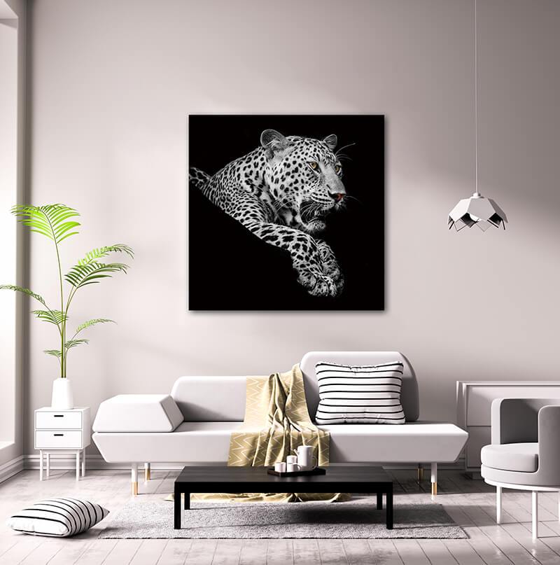 Leopard in Black and White Acrylic Print showcasing a striking leopard design on a sleek acrylic panel, perfect for modern wall decor.