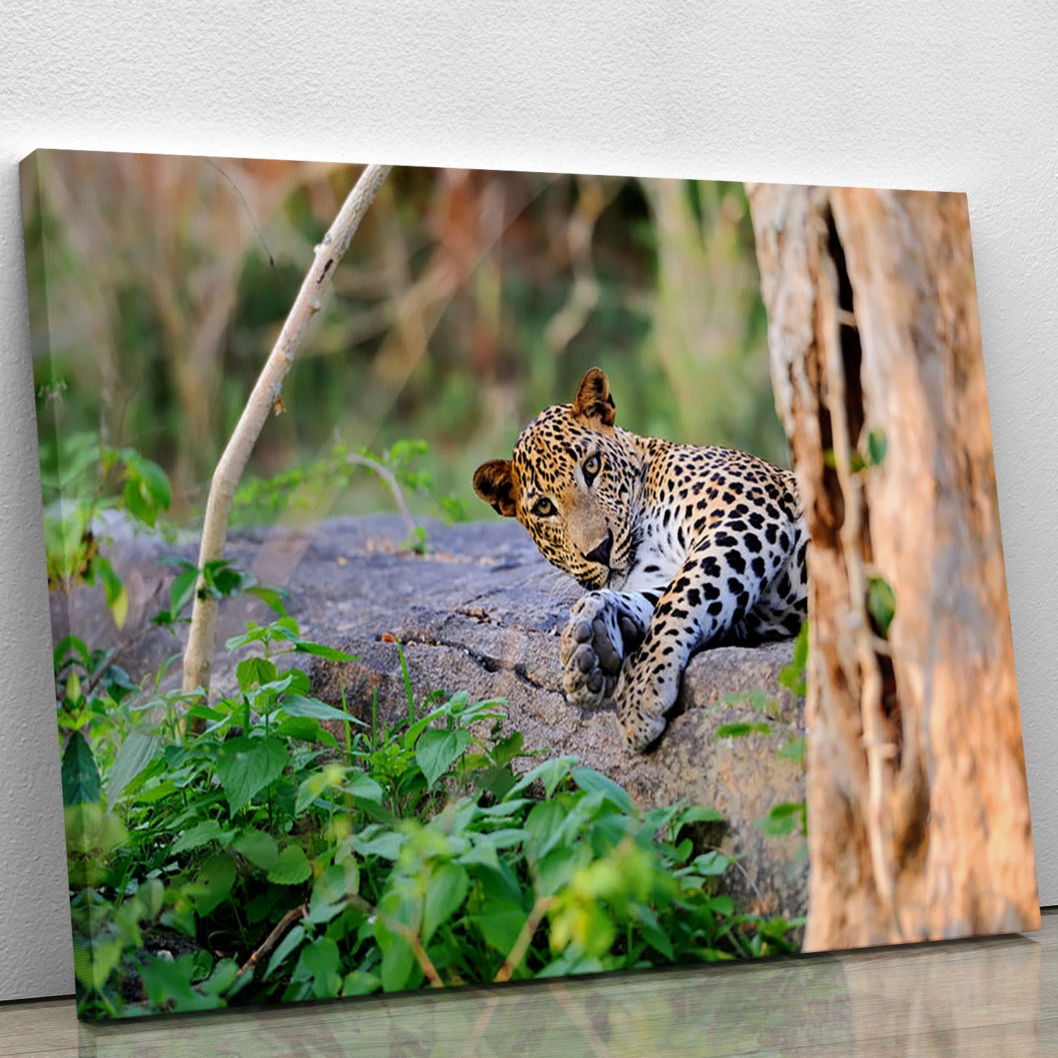 A vibrant canvas print featuring a leopard in its natural habitat, showcasing intricate details and rich colors.