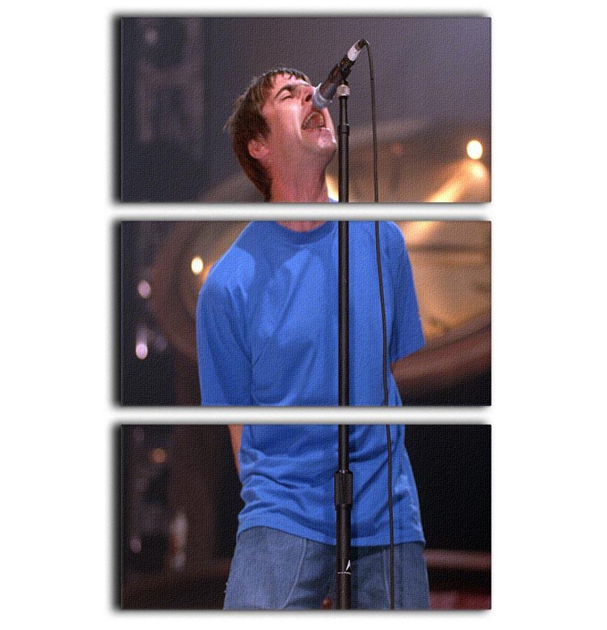 Liam Gallagher singing captured in a stunning 3-panel canvas print, showcasing vibrant colors and detailed imagery.
