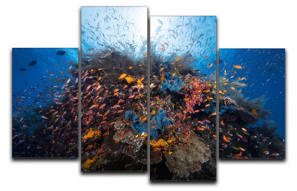 Life Explosion 4 Split Panel Canvas artwork featuring vibrant colors and dynamic design across four panels.