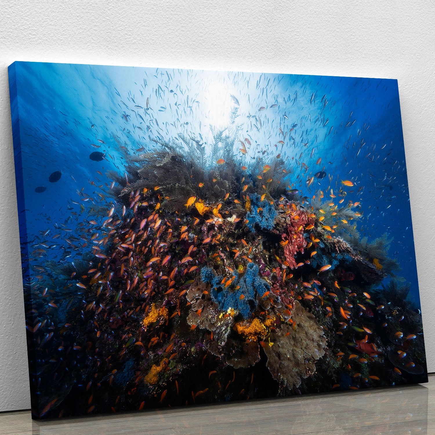 Life Explosion Canvas Print showcasing vibrant colors and abstract design, perfect for home or office decor.